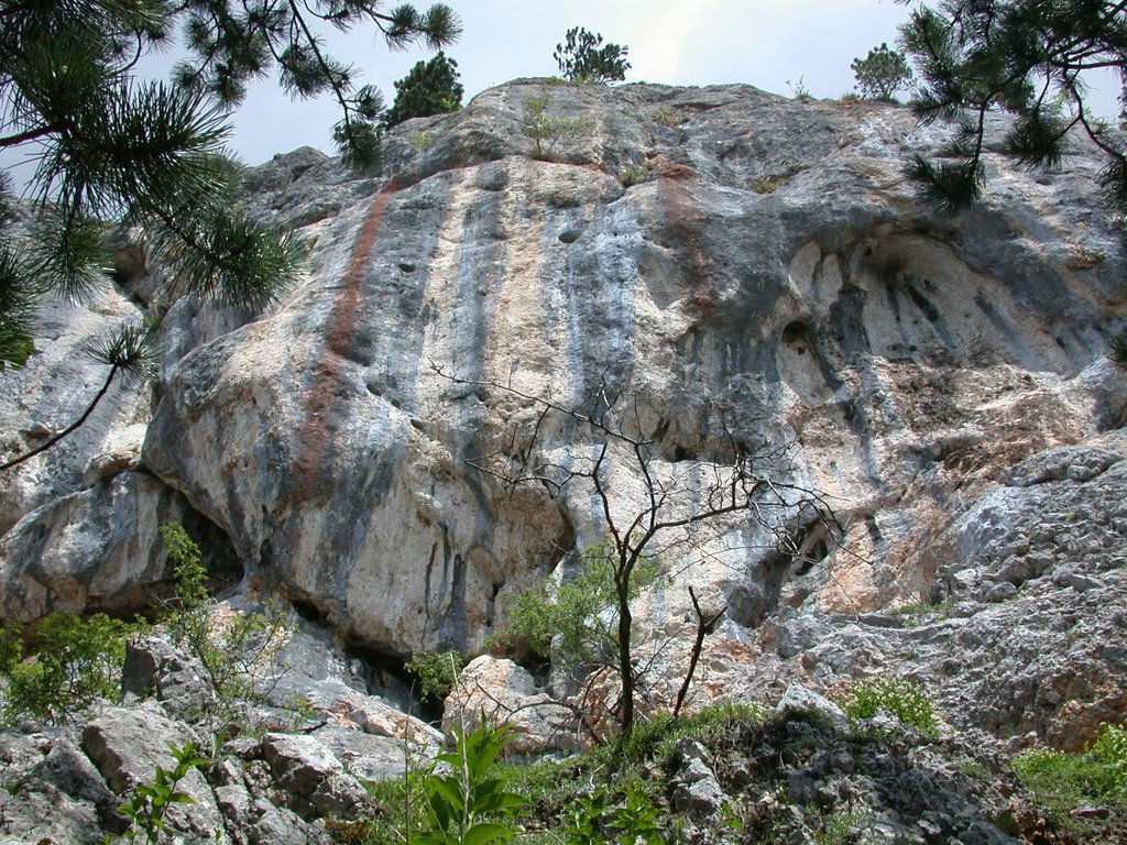 DSCN5725.JPG