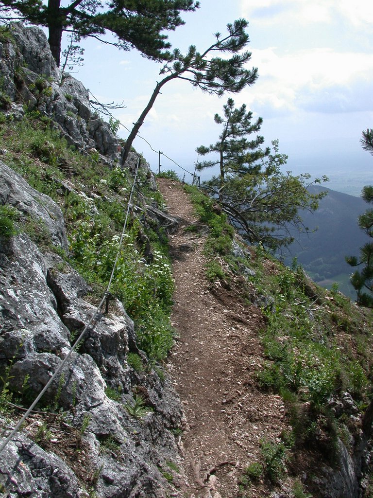 DSCN5729.JPG