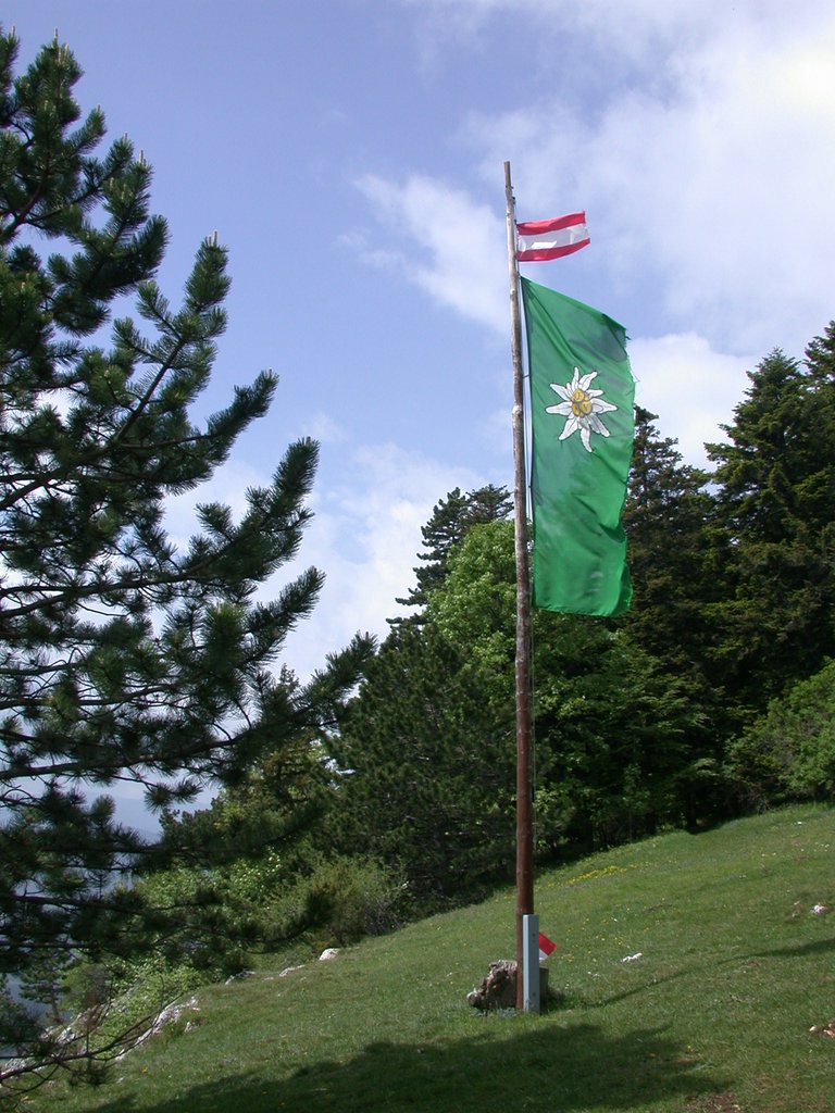 DSCN5737.JPG