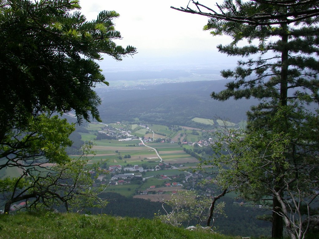 DSCN5746.JPG