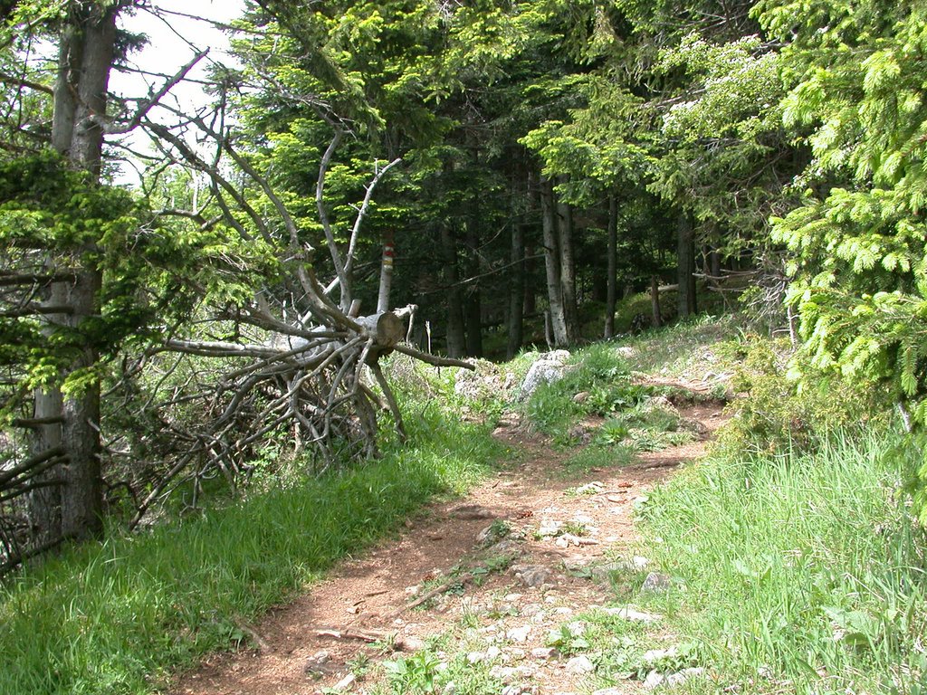 DSCN5747.JPG