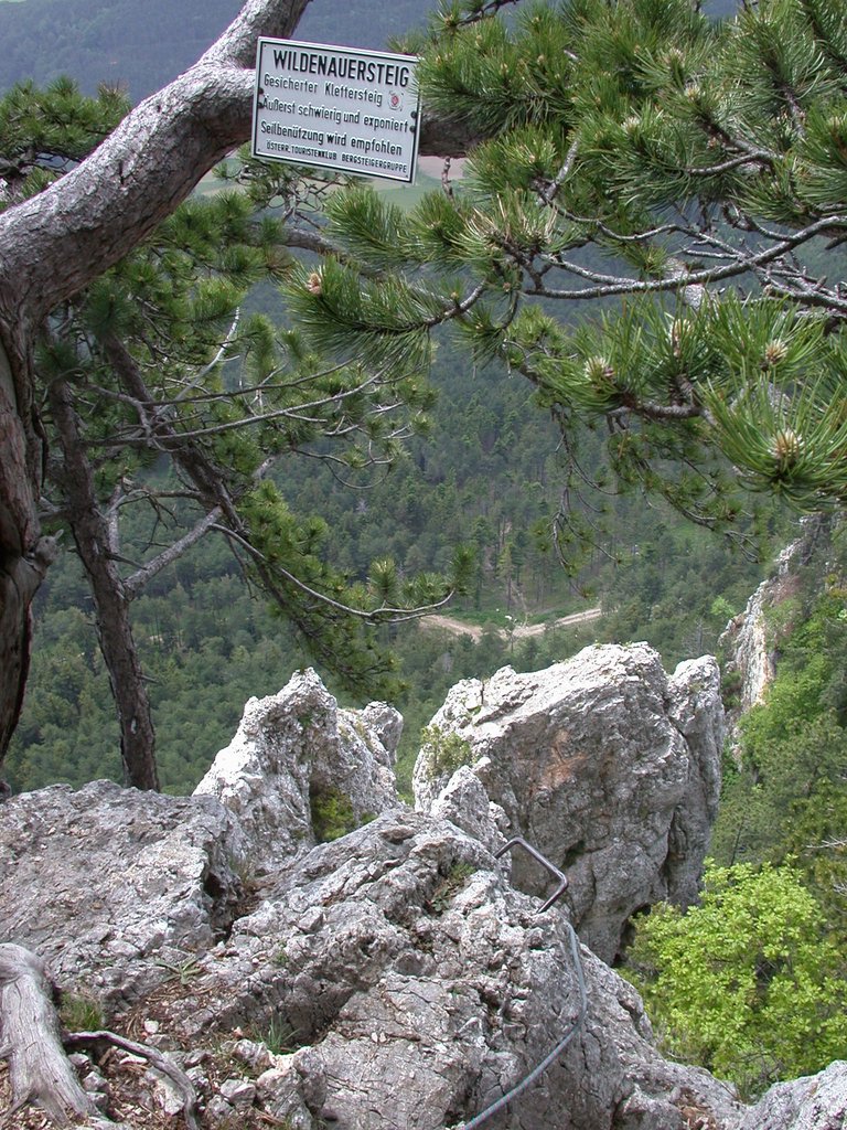 DSCN5748.JPG
