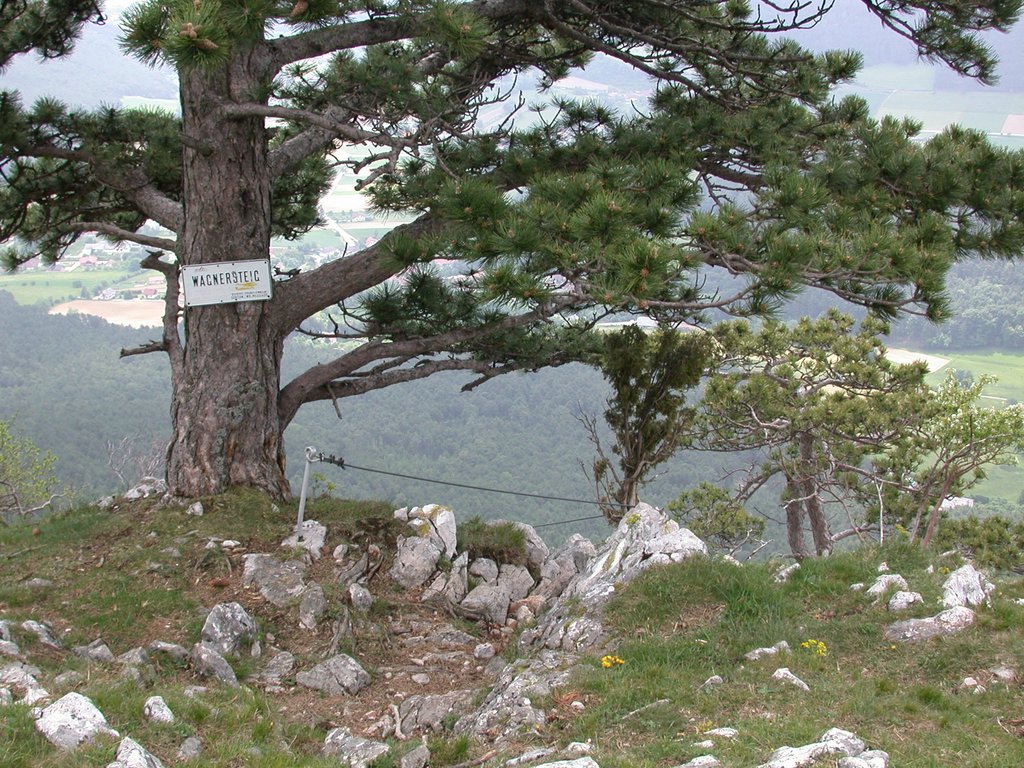 DSCN5761.JPG