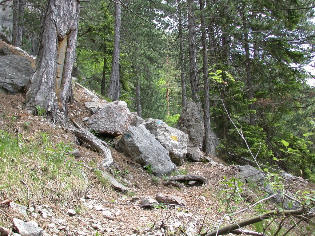 DSCN5765.JPG