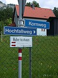 DSCN5702.JPG