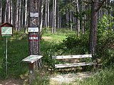 DSCN5703.JPG