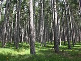 DSCN5705.JPG