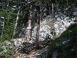 DSCN5710.JPG