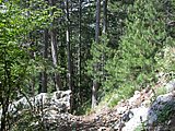 DSCN5712.JPG