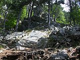 DSCN5715.JPG