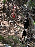 DSCN5717.JPG