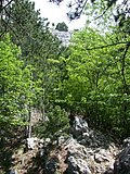 DSCN5719.JPG