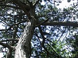 DSCN5722.JPG