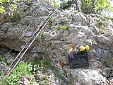 DSCN5727.JPG