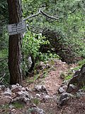 DSCN5749.JPG