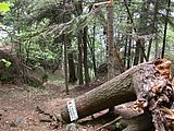 DSCN5750.JPG