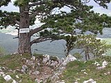 DSCN5761.JPG