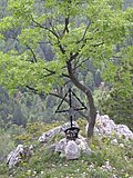 DSCN5762.JPG