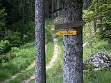 DSCN5766.JPG
