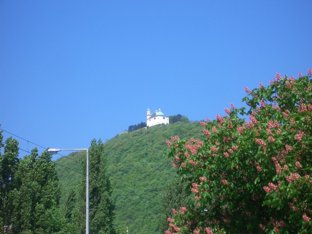 CIMG4540.JPG