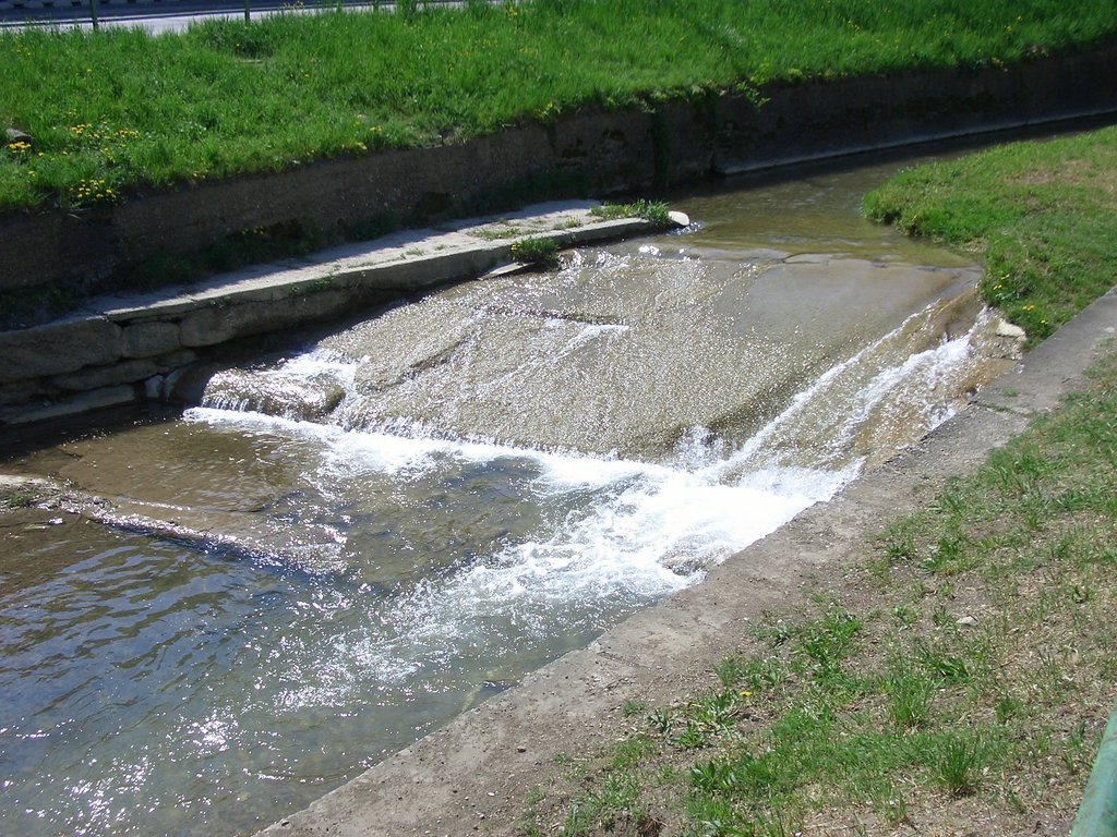 CIMG4546.JPG