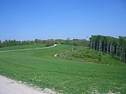 CIMG4555.JPG