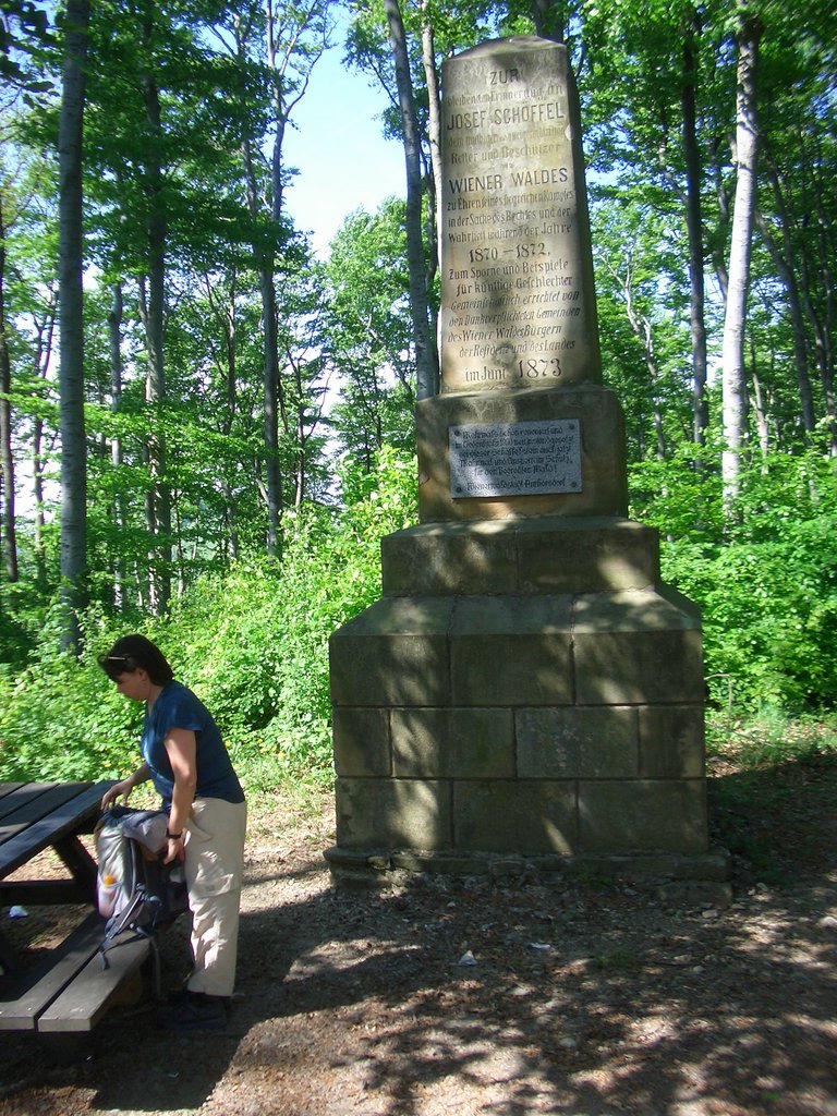 CIMG4576.JPG