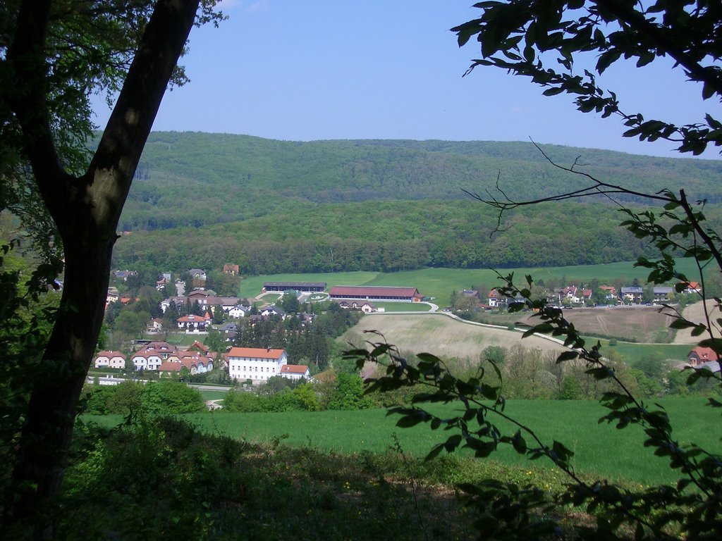 CIMG4588.JPG