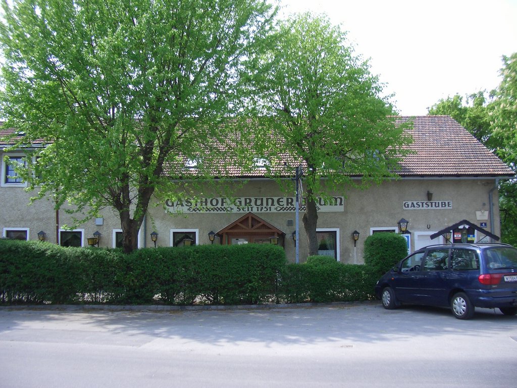 CIMG4595.JPG