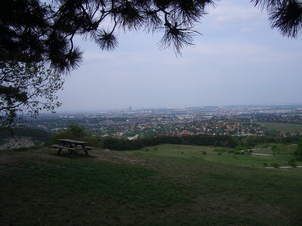 CIMG4624.JPG
