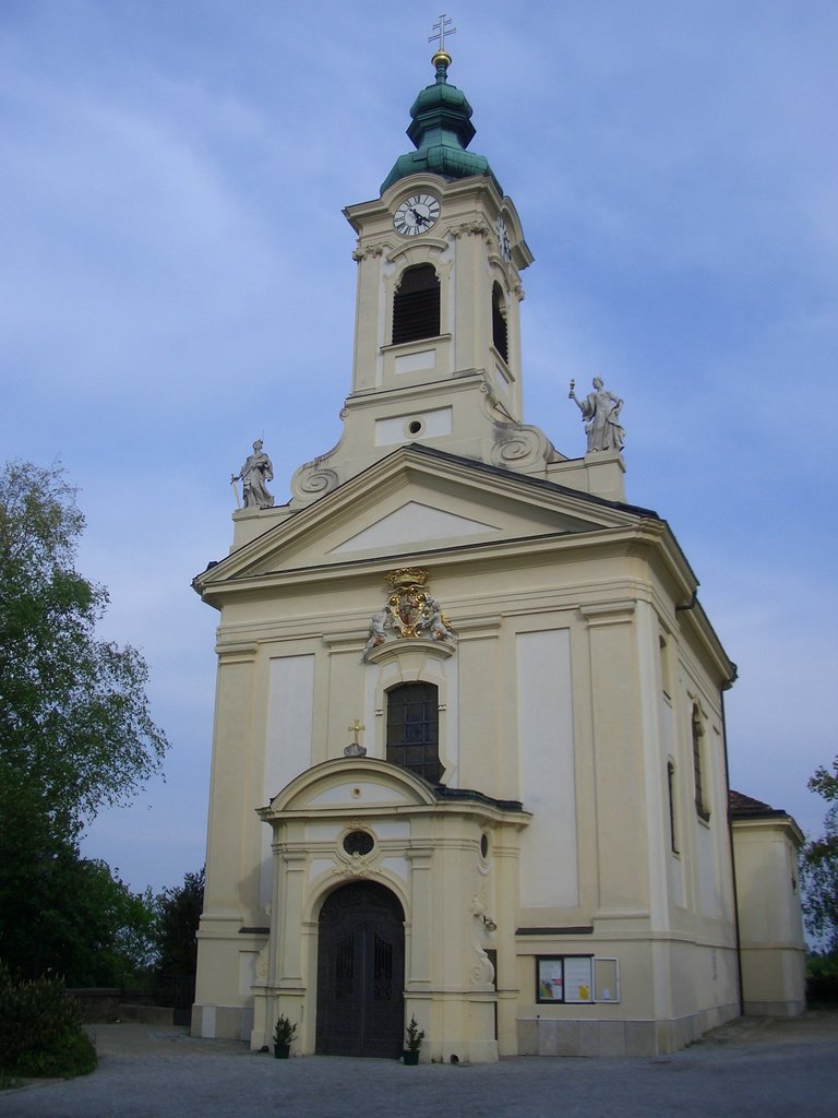 CIMG4629.JPG