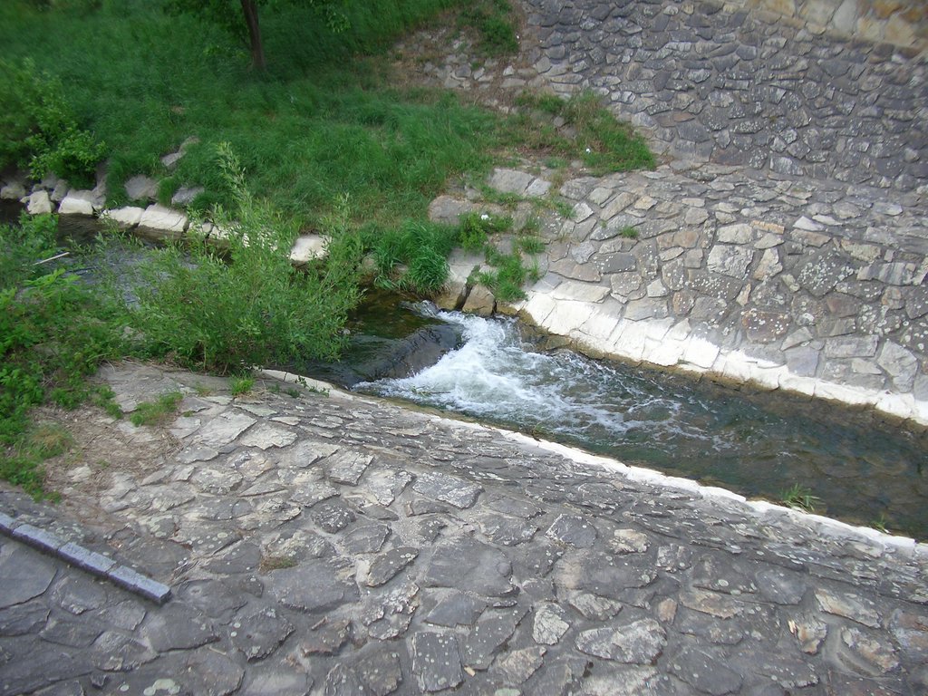 CIMG4633.JPG