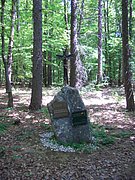 CIMG4578.JPG
