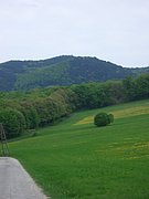 CIMG4604.JPG