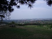 CIMG4624.JPG