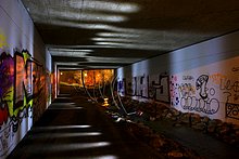 _IMG5556_mod.jpg