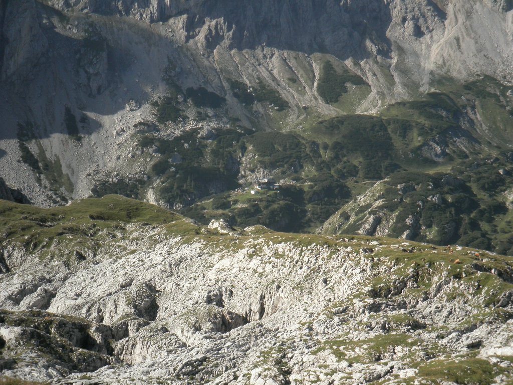 P8100334.JPG