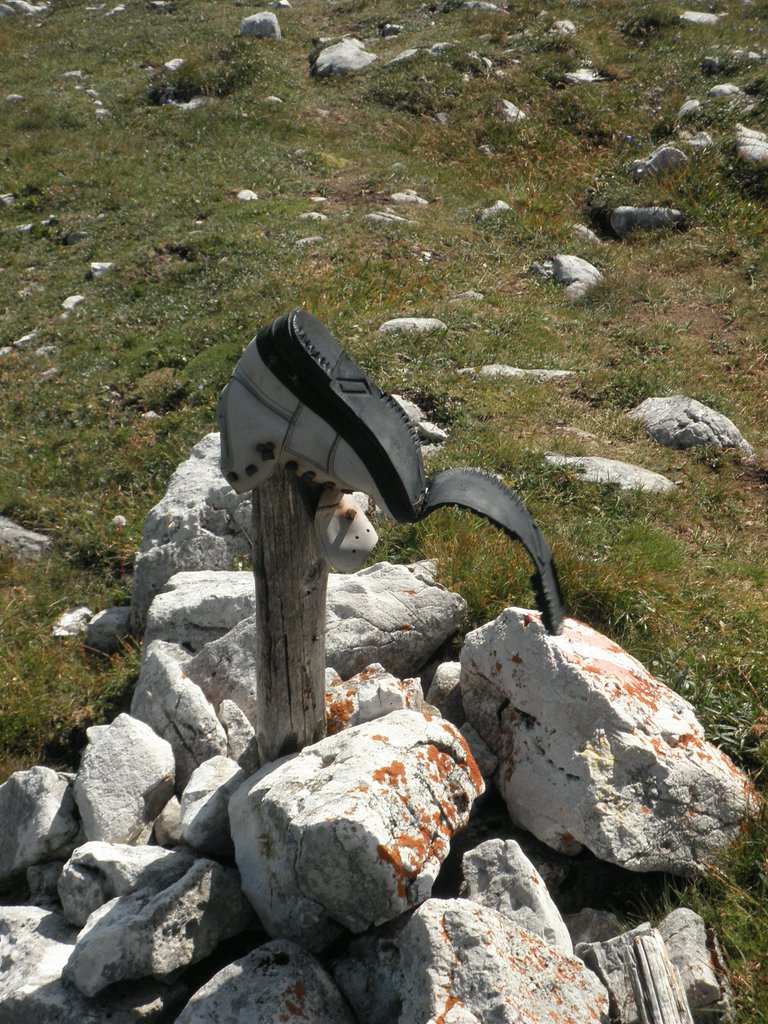 P8100344.JPG