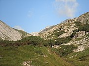 P8100317.JPG
