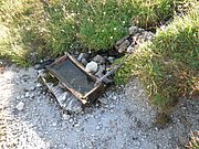 P8100322.JPG