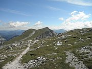 P8100349.JPG