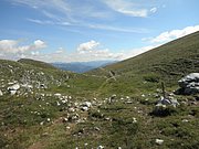 P8100356.JPG