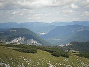 P8100367.JPG