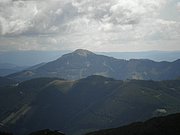 P8100372.JPG