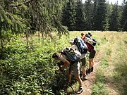 P8100387.JPG