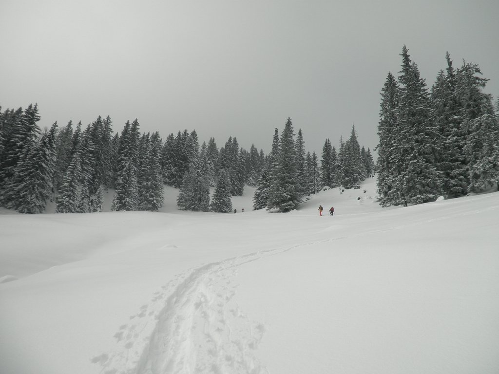 P2140031.JPG