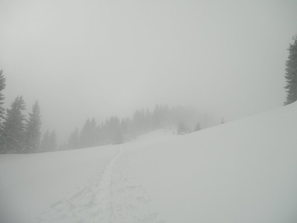 P2140035.JPG