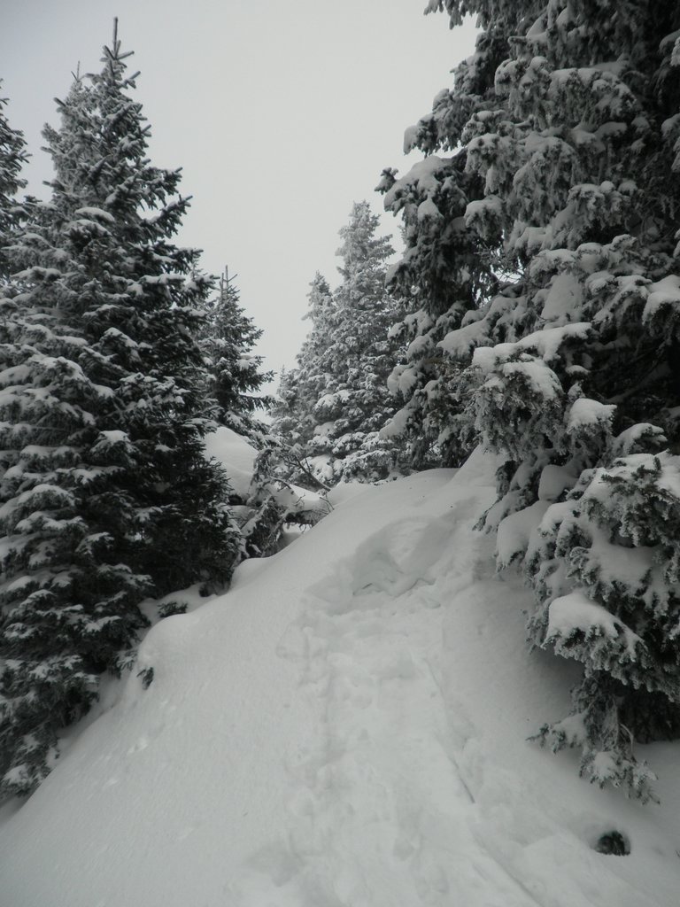 P2140036.JPG