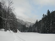 P2140006.JPG