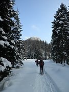 P2140010.JPG